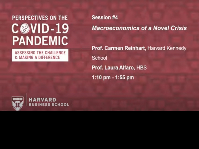 Macroeconomics of a Novel Crisis